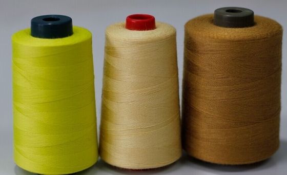 Filo da ricamo ignifugo di alta qualità NE40s/2 per la produzione tessile