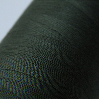 Meta Aramid Amy Green Sewing Thread 40/3 per le uniformi del franco