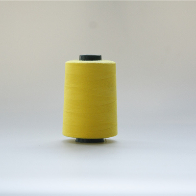 Filo ad alta temperatura 40/2 del ricamo di Aramid del Meta di resistenza