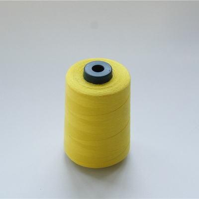 Filo ad alta temperatura 40/2 del ricamo di Aramid del Meta di resistenza